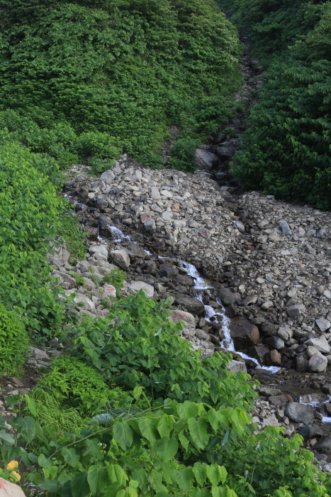 雨飾山 190818 灼熱の低山ハイク_e0338862_14383522.jpg