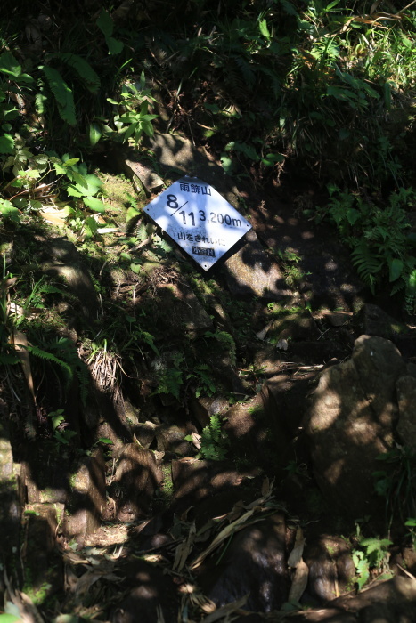 雨飾山 190818 灼熱の低山ハイク_e0338862_14410240.jpg