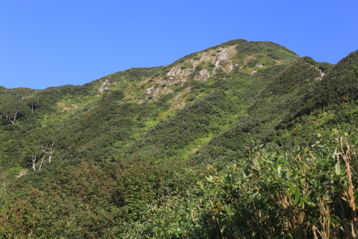 雨飾山 190818 灼熱の低山ハイク_e0338862_14413734.jpg