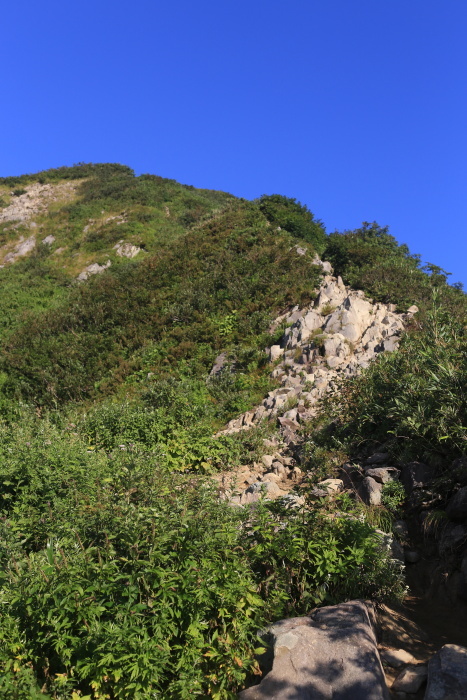 雨飾山 190818 灼熱の低山ハイク_e0338862_14434418.jpg