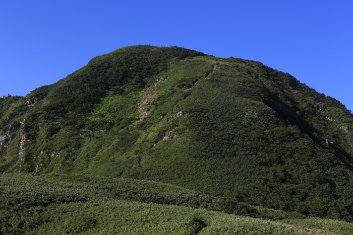 雨飾山 190818 灼熱の低山ハイク_e0338862_14461060.jpg