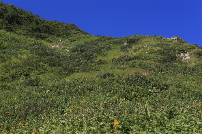 雨飾山 190818 灼熱の低山ハイク_e0338862_14463224.jpg