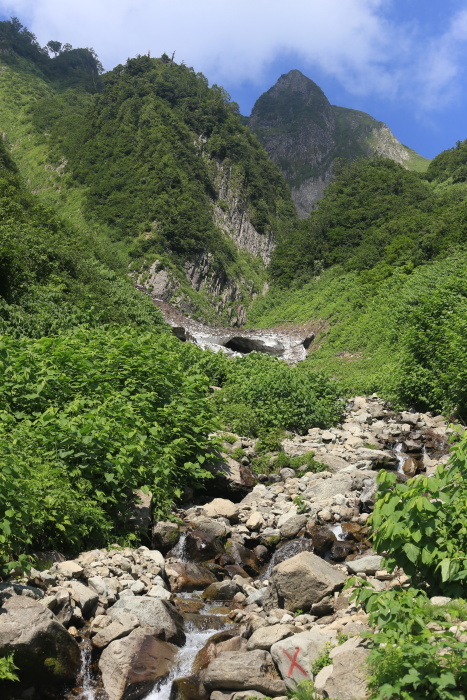 雨飾山 190818 灼熱の低山ハイク_e0338862_14585515.jpg