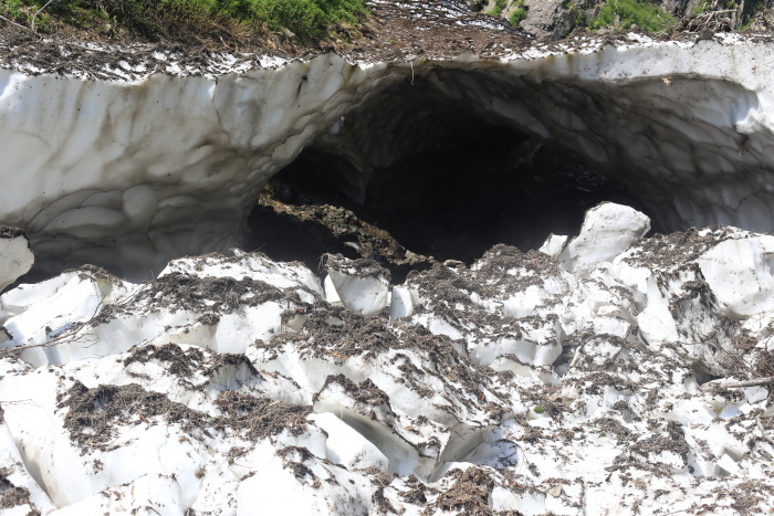 雨飾山 190818 灼熱の低山ハイク_e0338862_14595337.jpg