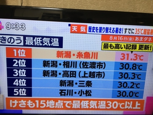 b0145863_00322355.jpeg