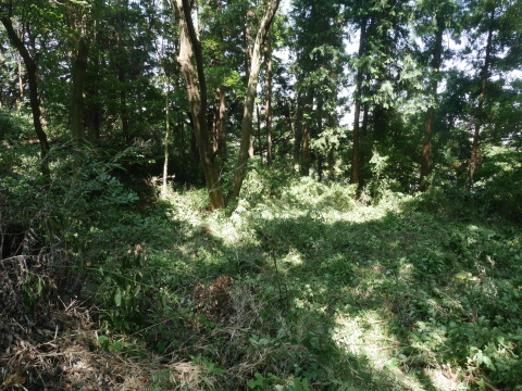 山桜の植樹スペース確保に目途8・17六国見山手入れ_c0014967_21085754.jpg