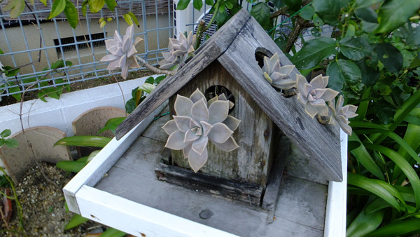 f0260167_07280282.jpg