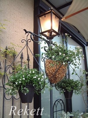 猛暑にも負けない元気な植物～♥_f0029571_00163313.jpg