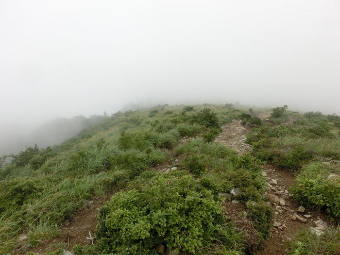 b0185573_13295370.jpg