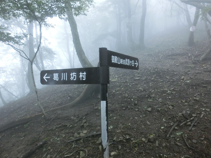 b0185573_15404676.jpg