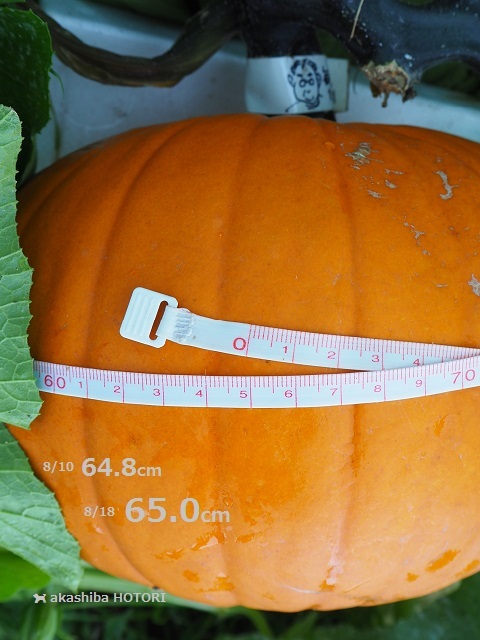 f0150377_17373774.jpg