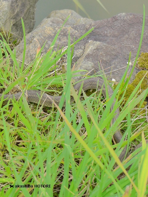 f0150377_17572039.jpg