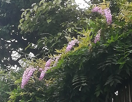 e0023790_10270126.jpg