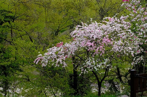 b0119493_10122660.jpg