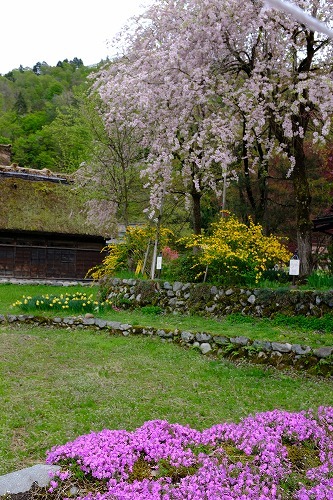 b0119493_10122741.jpg