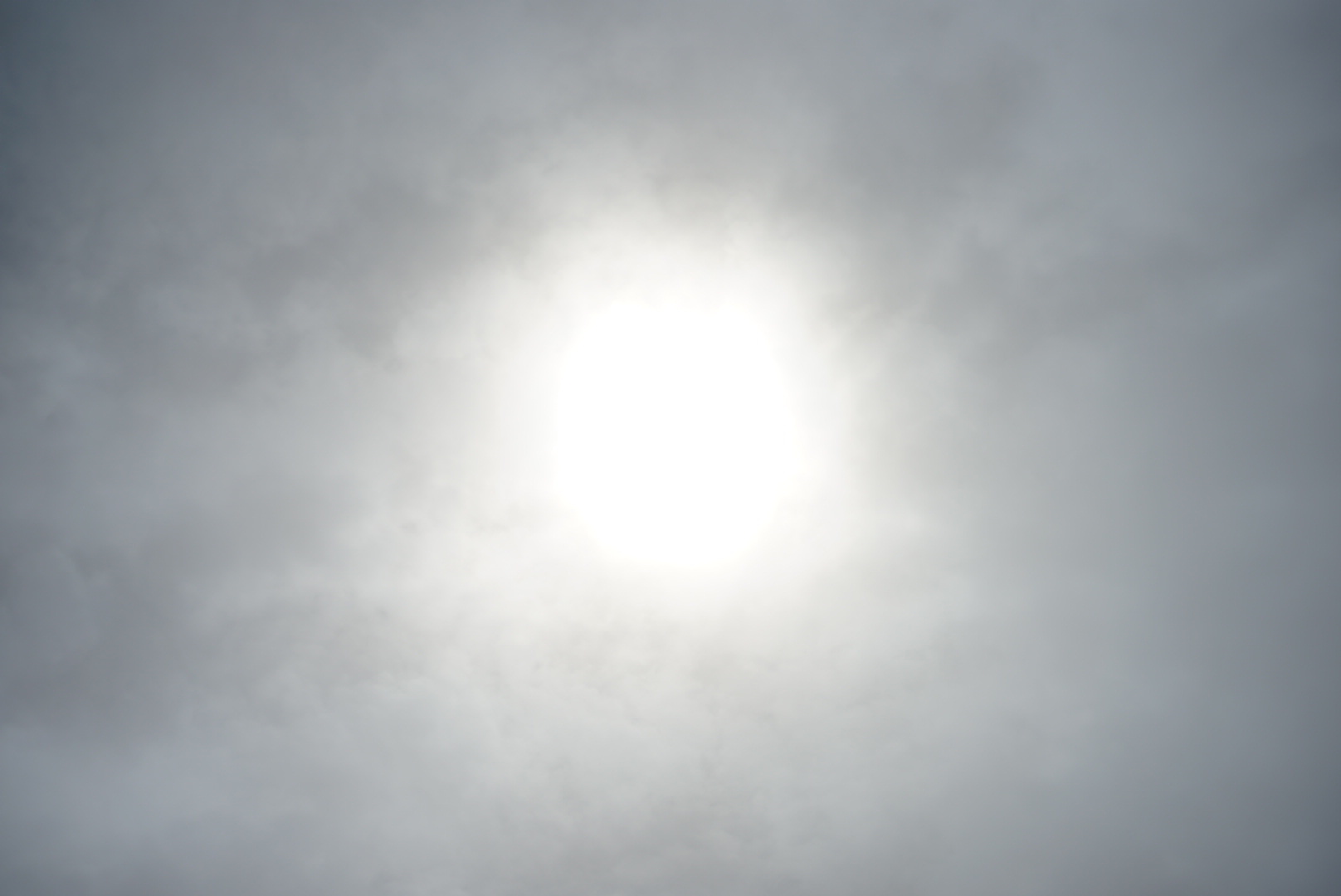 フィールドレポート 銀泉台~層雲峡_d0198793_16375208.jpg