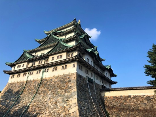 名古屋城でヨイトヨイヤマッカドッコイサノセー_e0303005_22400047.jpg