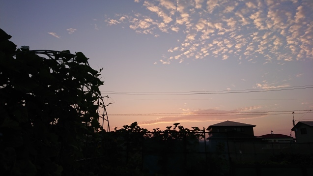 b0035611_19253736.jpg
