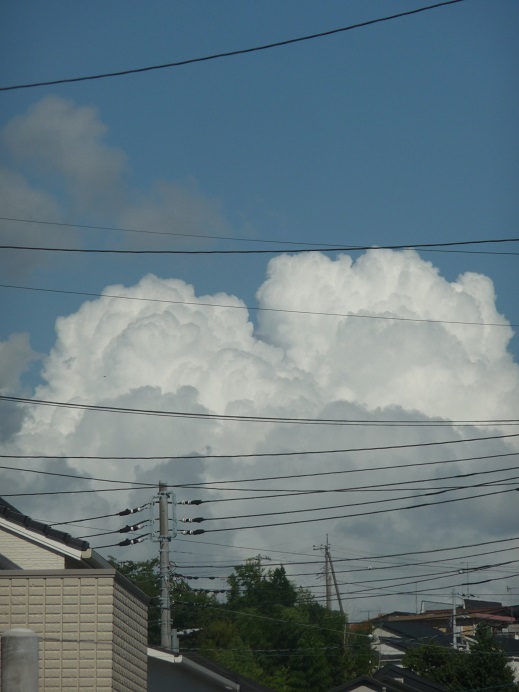c0202113_1640355.jpg