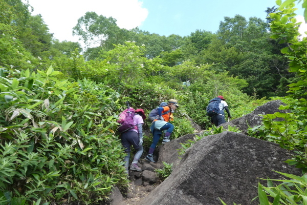 d0170615_20355965.jpg