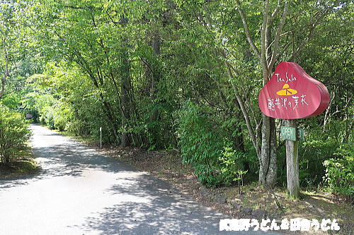 軽井沢の芽衣 めい 軽井沢 武蔵野うどん 田舎うどん ２杯目