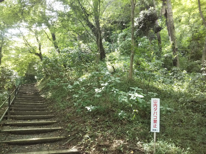 d0378837_05551179.jpg