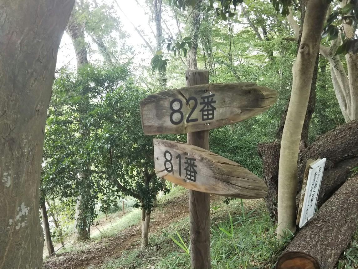 d0378837_05562373.jpg