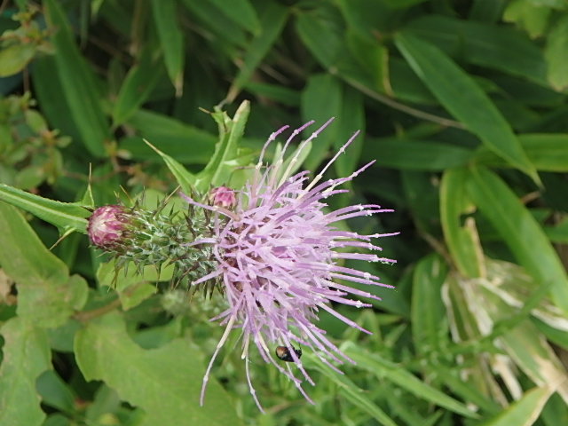 f0334143_8472425.jpg