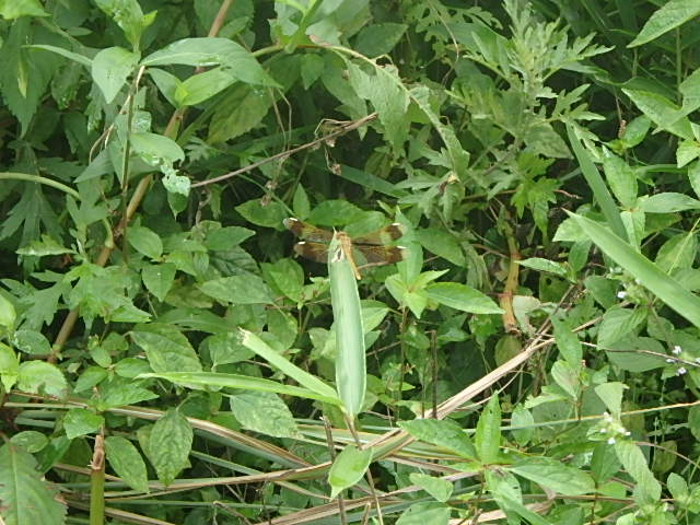 f0334143_848105.jpg