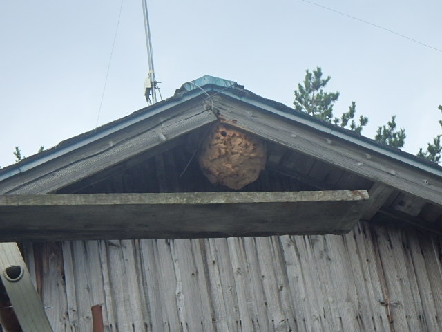 f0334143_8504097.jpg