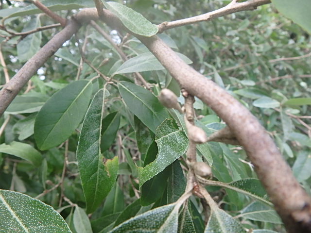 f0334143_851123.jpg