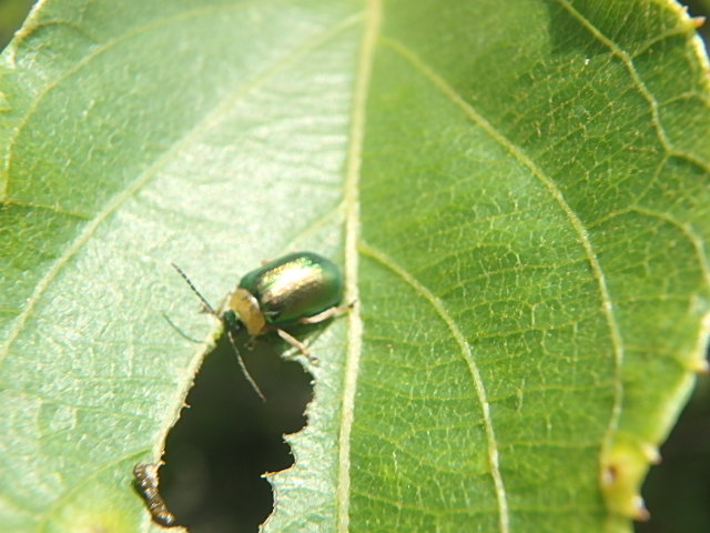 f0334143_8523035.jpg
