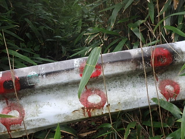 f0334143_8544457.jpg