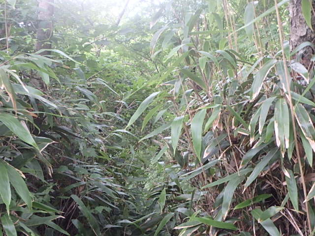 f0334143_857566.jpg