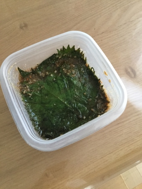 暑さ和らぐ_e0308749_11394915.jpeg