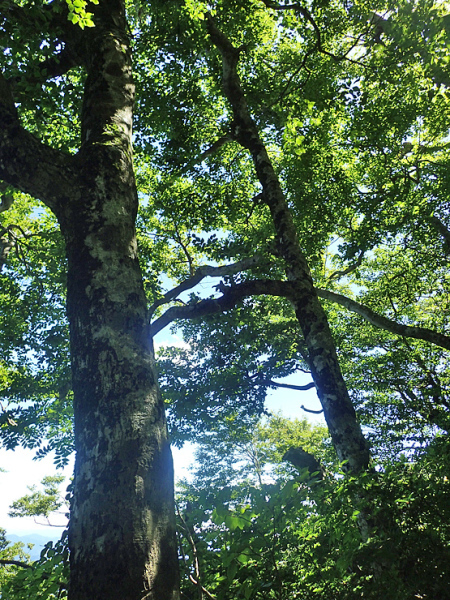 f0214649_04254538.jpg