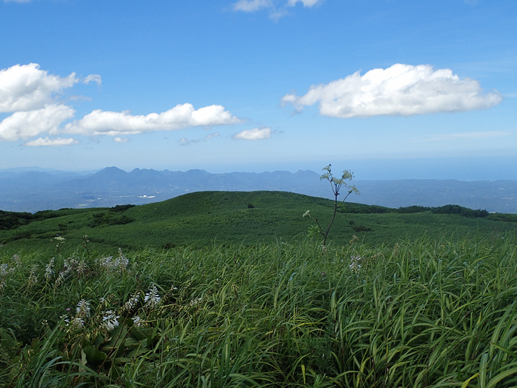 f0214649_04411932.jpg