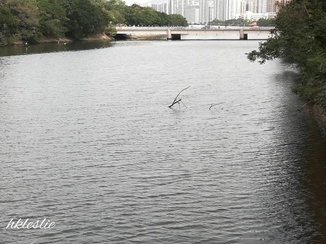 b0248150_17030605.jpg