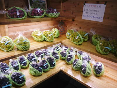 熊本ぶどう 社方園 第12回ぶどう祭り 前編_a0254656_09320298.jpg