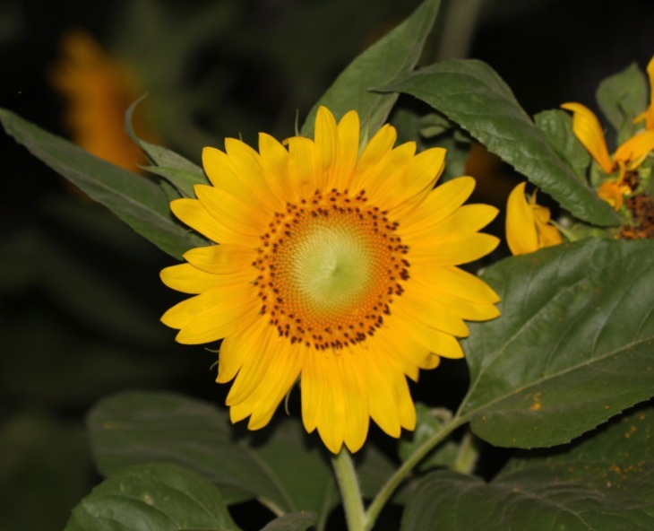 a0248459_14344850.jpg
