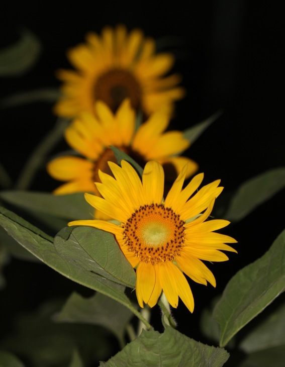 a0248459_14350505.jpg