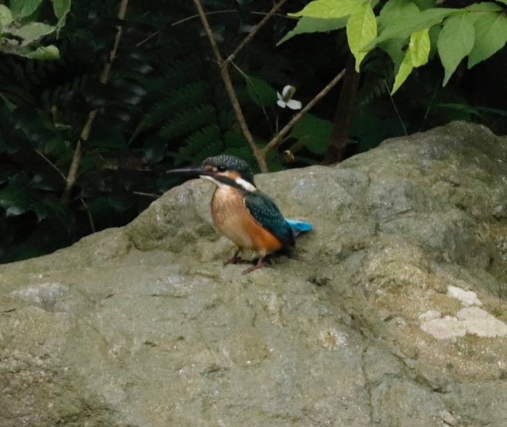 a0248459_14412054.jpg