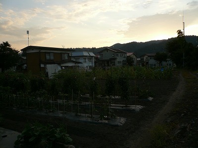 d0074063_07484901.jpg