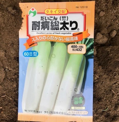 薩摩芋試し掘り、秋ジャガ植え付け、大根種蒔き8・18～19_c0014967_17303155.jpg