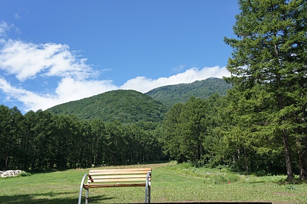 e0177271_21262242.jpg