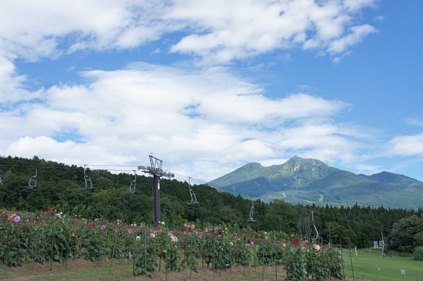 e0177271_21272547.jpg