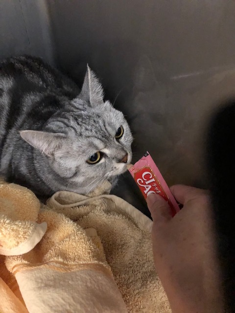 ホテルの様子(2019・8・19)_e0367571_19191499.jpg