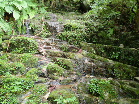 d0182075_01301952.jpg
