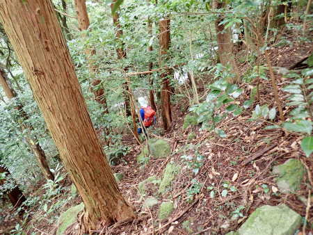 d0182075_01331915.jpg