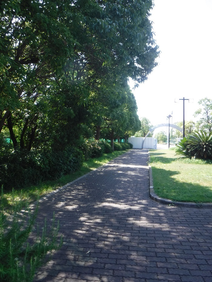 f0238779_09012951.jpg
